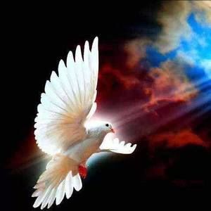 Meet your Posher, Angel